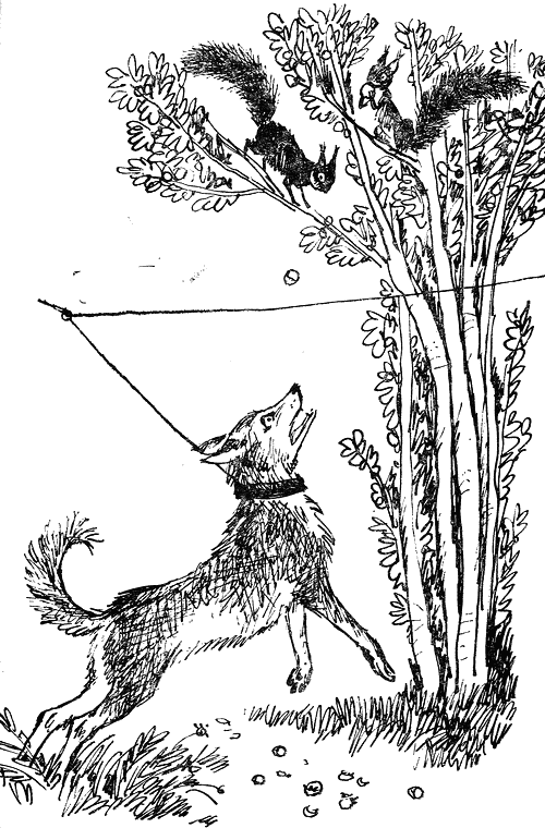 lisichko_lae_po_dve_katerichki.png lisichko_lae_po_dve_katerichki.png