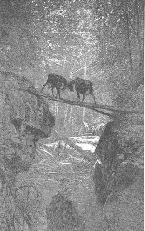 goats.png goats.png