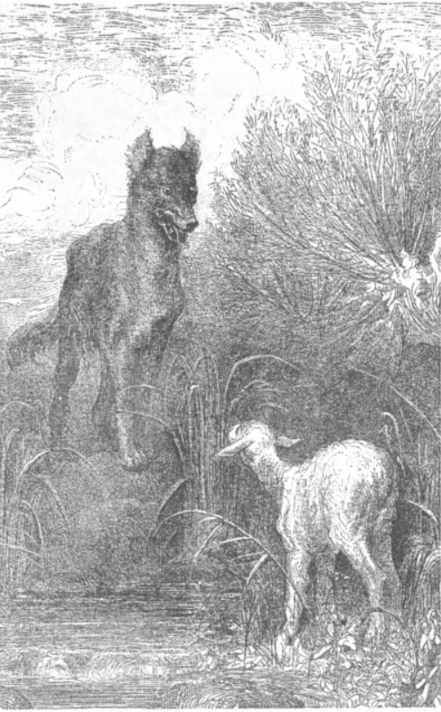 wolfi.png wolfi.png