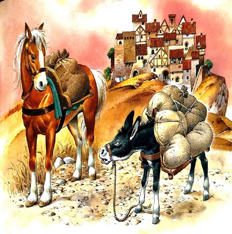 260_magare_kon.jpg 260_magare_kon.jpg