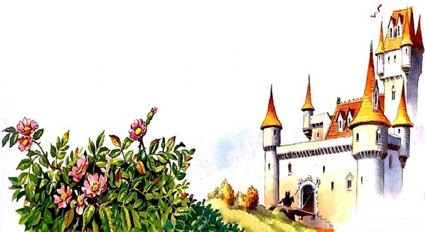 60_svatba.jpg 60_svatba.jpg