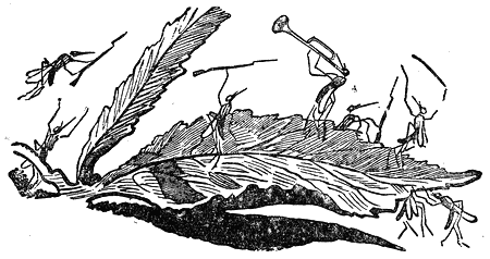 razkazi_i_prikazki_ot_ruski_pisateli_klasitsi_pic38.png razkazi_i_prikazki_ot_ruski_pisateli_klasitsi_pic38.png