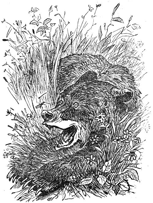 razkazi_i_prikazki_ot_ruski_pisateli_klasitsi_pic39.png razkazi_i_prikazki_ot_ruski_pisateli_klasitsi_pic39.png