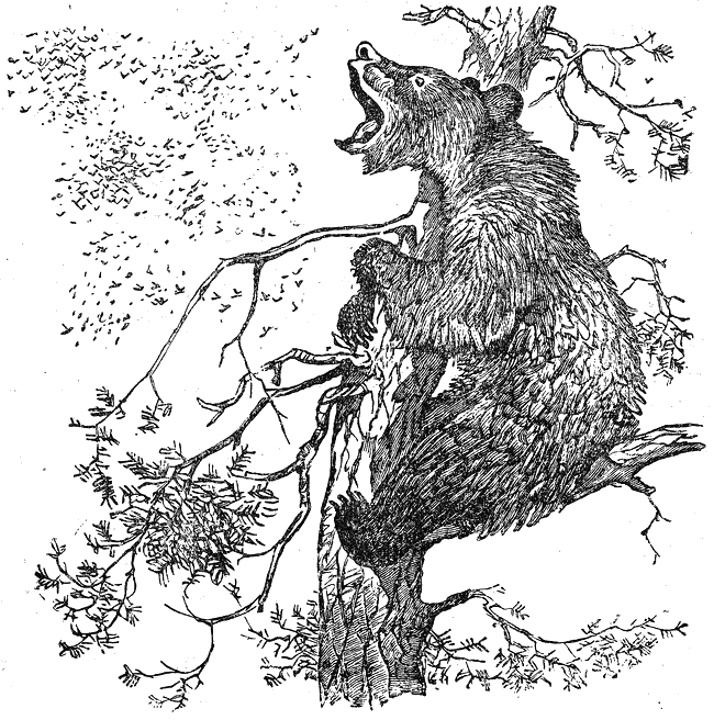 razkazi_i_prikazki_ot_ruski_pisateli_klasitsi_pic41.png razkazi_i_prikazki_ot_ruski_pisateli_klasitsi_pic41.png