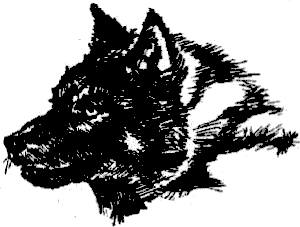 gospodarya_na_zverovete_10.png gospodarya_na_zverovete_10.png