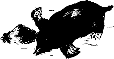 gospodarya_na_zverovete_6.png gospodarya_na_zverovete_6.png